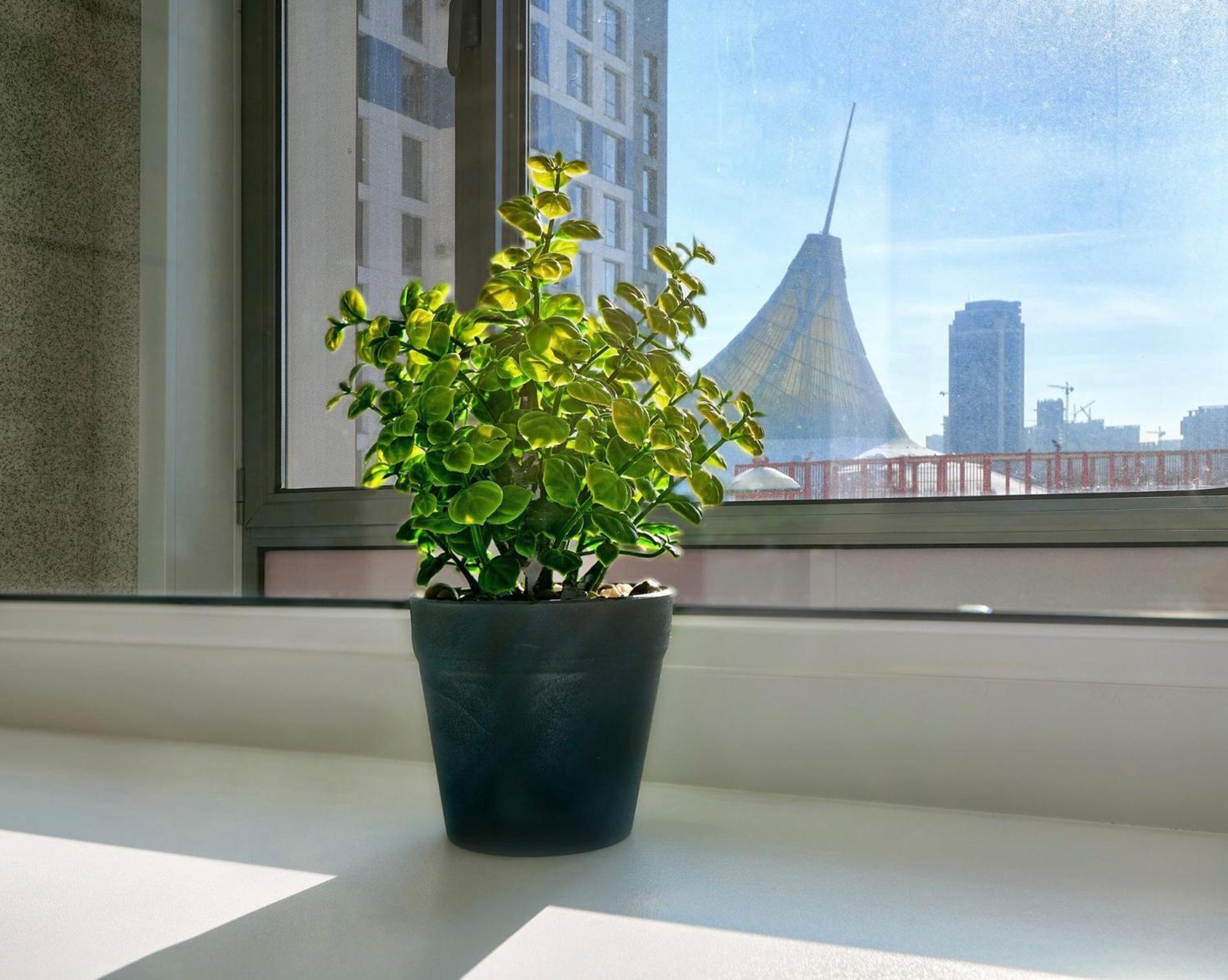Apartment Raisson D86 шатыр